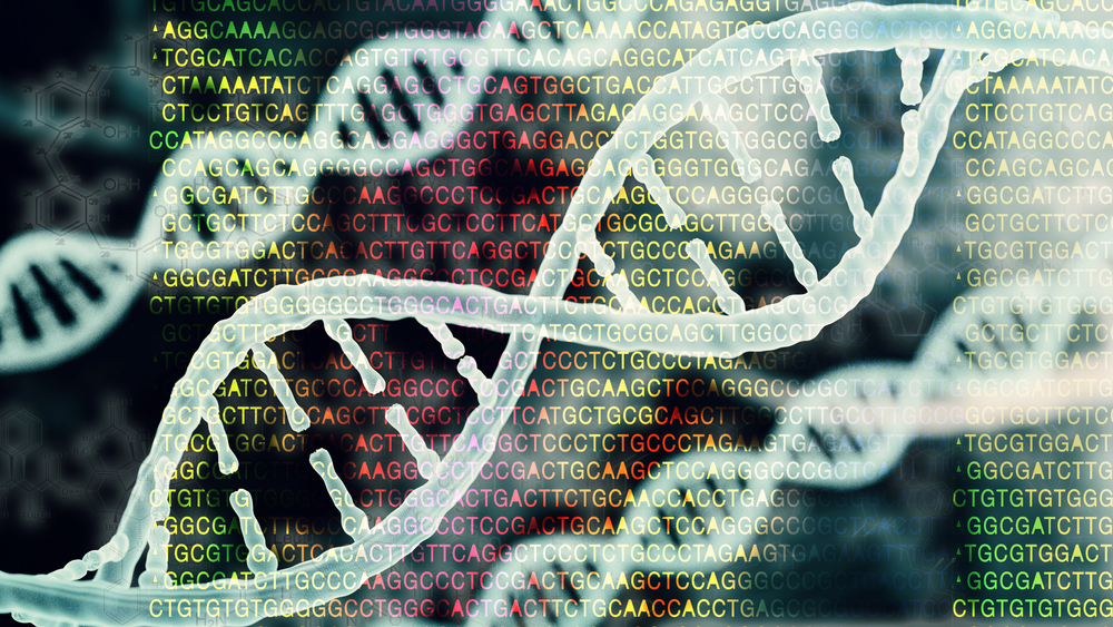 biyoinformatik bölümü,
biyoenformatik ve genetik sıralama 2024,
biyoenformatik ve genetik sıralama,
biyoenformatik ve genetik,
biyoenformatik ve genetik bölümü